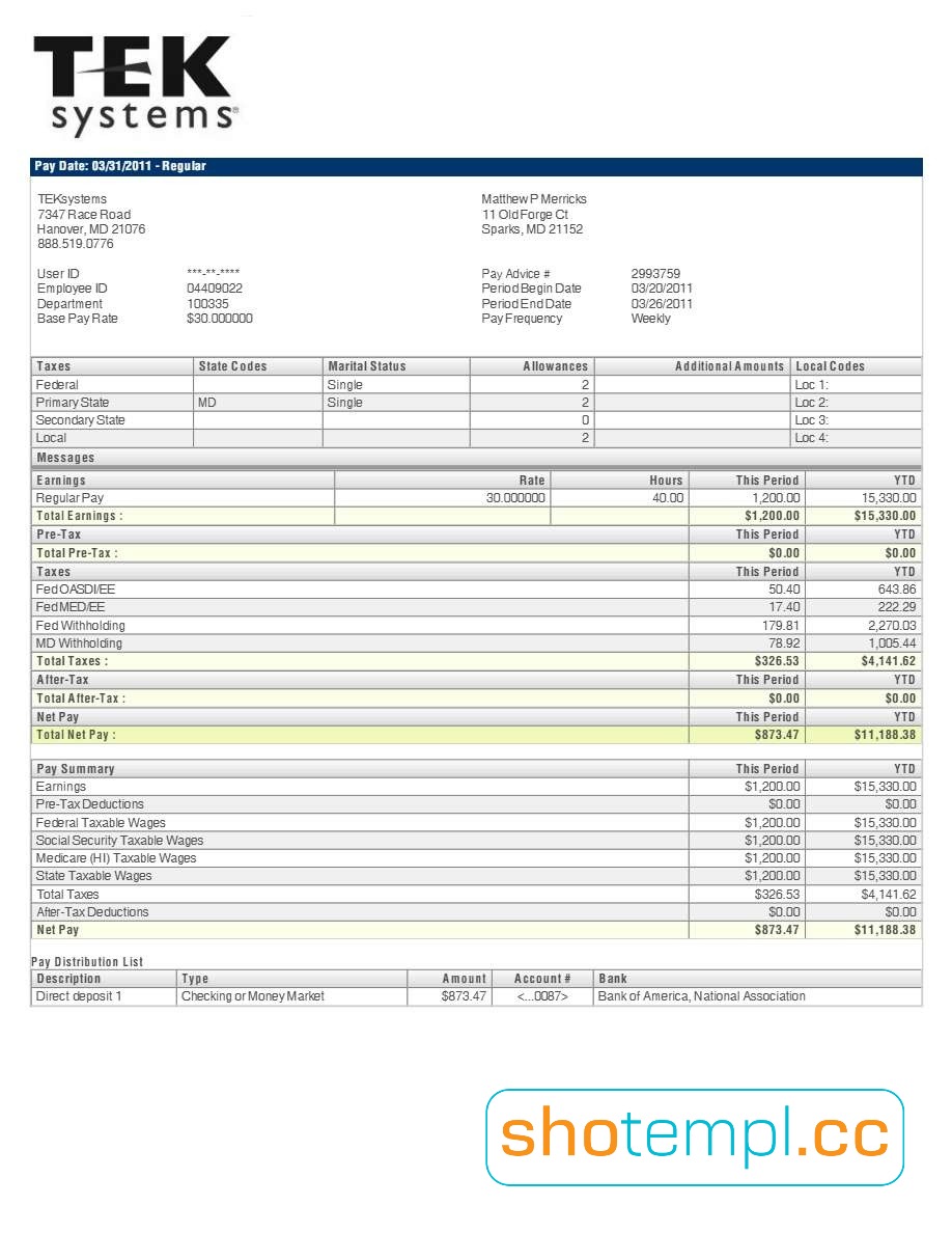 TEK Syestems PayStub PDF Template